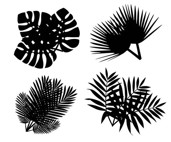 Czarne Sylwetki Zestaw Tropikalny Liści Płaski Liść Palmowy Ikona Egzotycznych — Wektor stockowy