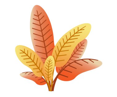 Turuncu vahşi bitki. Sonbahar bitki simgesi. Çimenler ve mera kısa bitkiler, çayır vahşi veya bahçe büyüyen ekili, sığır gıda. Beyaz arka plan üzerinde izole düz vektör çizim.