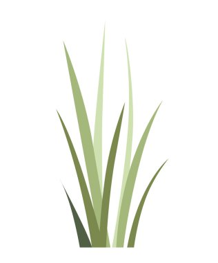 Green wild grass. Field plant. Summer grass icon. Flat vector illustration isolated on white background. clipart