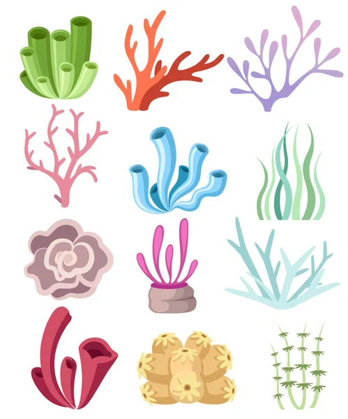 Colección Coloridos Corales Algas Diseño Floral Mar Profundo Flora Fauna — Archivo Imágenes Vectoriales