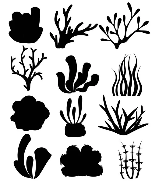 Zwarte Silhouet Verzameling Van Koralen Zeewier Diepzee Bloemdessin Oceaan Flora — Stockvector