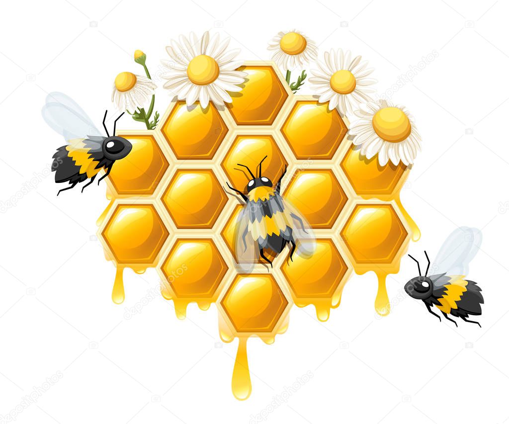 Honeycomb with honey drops. Sweet honey with flower and bees. Logo for shop or bakery. Flat vector illustration isolated on white background.