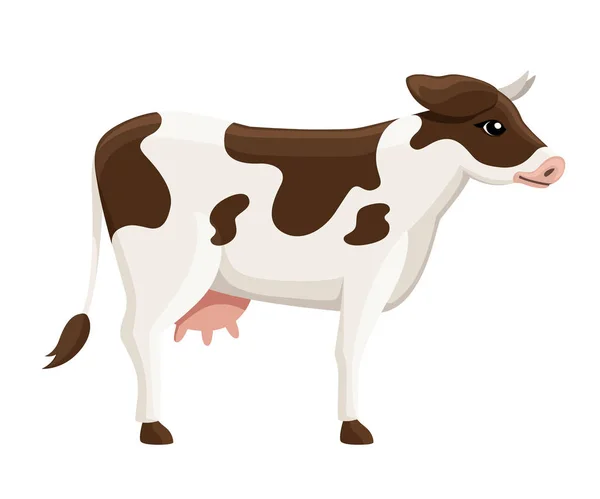 Cute White Brown Cow Farm Domestic Animal Flat Style Animal — Stock Vector