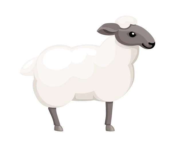 Beyaz Koyun Çiftlik Evcil Hayvan Düz Stil Hayvan Tasarımı Beyaz — Stok Vektör