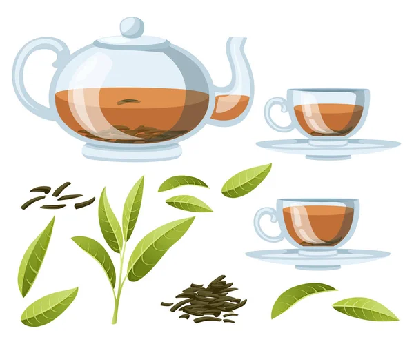 新鮮な茶葉と杭は お茶を乾燥します 透明なガラスのティーポットと紅茶とカップ デザイン 包装の緑茶 白い背景で隔離のフラット ベクトル図 — ストックベクタ
