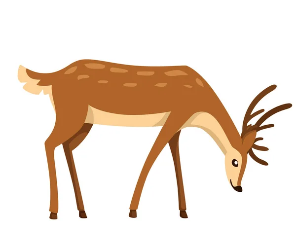 Cerf Brun Mammifères Ruminants Sabots Design Animal Dessin Animé Mignon — Image vectorielle