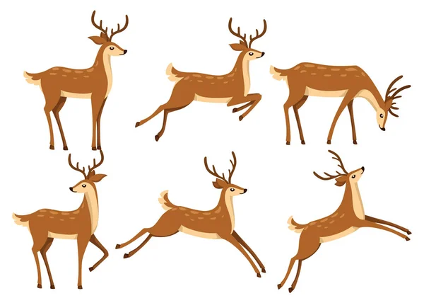 Brown Deer Icon Set Deer Run Jump Hoofed Ruminant Mammals — Stock Vector