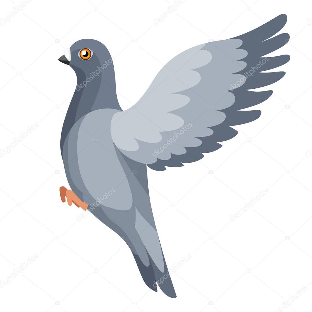 Pigeon bird flying, pigeon flaps its wings. Flat cartoon character design. Colorful bird icon. Cute pigeon template. Vector illustration isolated on white background.