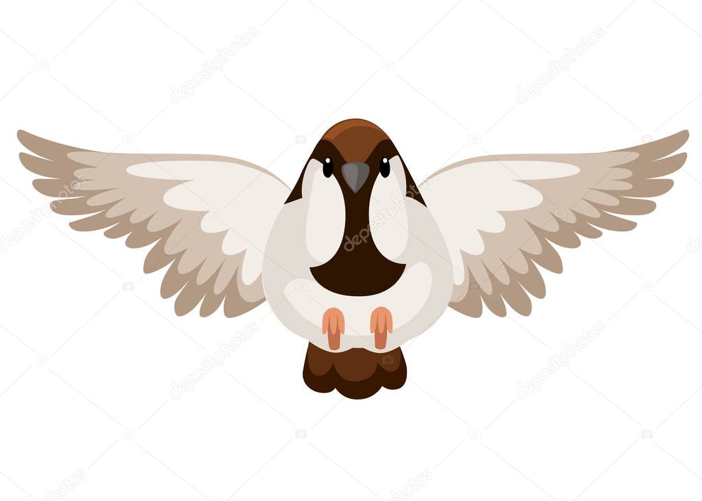 Front view of flying Sparrow bird. Flat cartoon character design. Colorful bird icon. Cute sparrow for world sparrow day. Vector illustration isolated on white background.