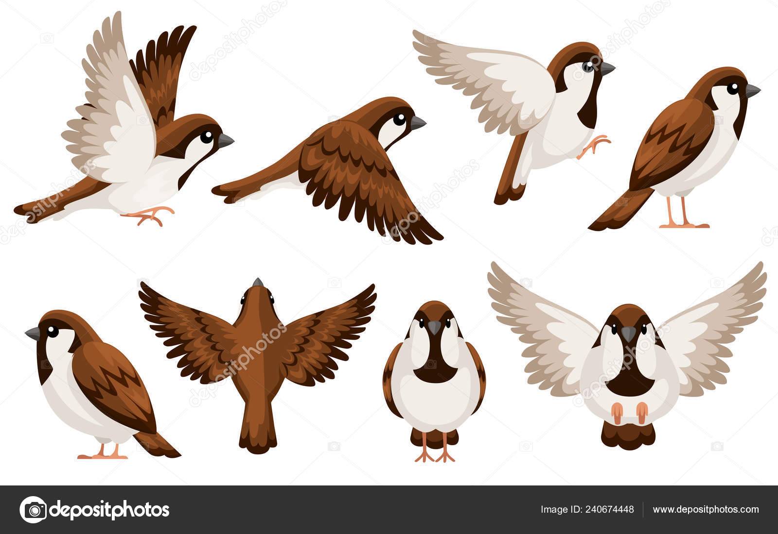 Colorful Icon Set Sparrow Bird Flat Cartoon Character Design Bird Stock Vector Image by ©.com #240674448 Colorful Icon Set Sparrow Bird Flat Cartoon Character Design Bird Stock Vector Image by ©.com #240674448