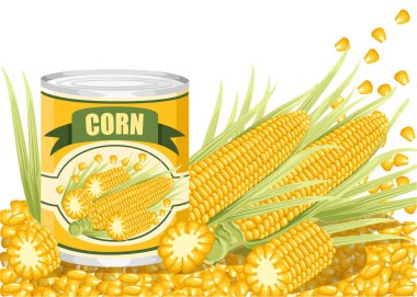 Alüminyum Mısır olabilir. Mısır koçanı logosu ile konserve tatlı Mısır. Süpermarket ve dükkan için ürün. Beyaz arka planda düz vektör çizim.