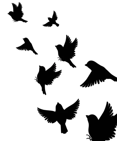 多くのスズメ鳥が飛んでいる抽象的なイラスト 黒いシルエット 鳥は頂上に飛ぶ 白の背景にベクトルイラスト — ストックベクタ