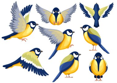 Titmouse kuş renkli Icon Seti. Düz karikatür karakter tasarımı. Görünümün farklı tarafında kuş simgesi. Sevimli faresi şablonu. Vektör Illustration beyaz arka planda yalıtılmış.