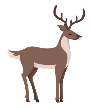 Gri kürk ile Ren geyiği. Kutup hayvan, karikatür düz tasarım. Vektör Illustration beyaz arka planda yalıtılmış.