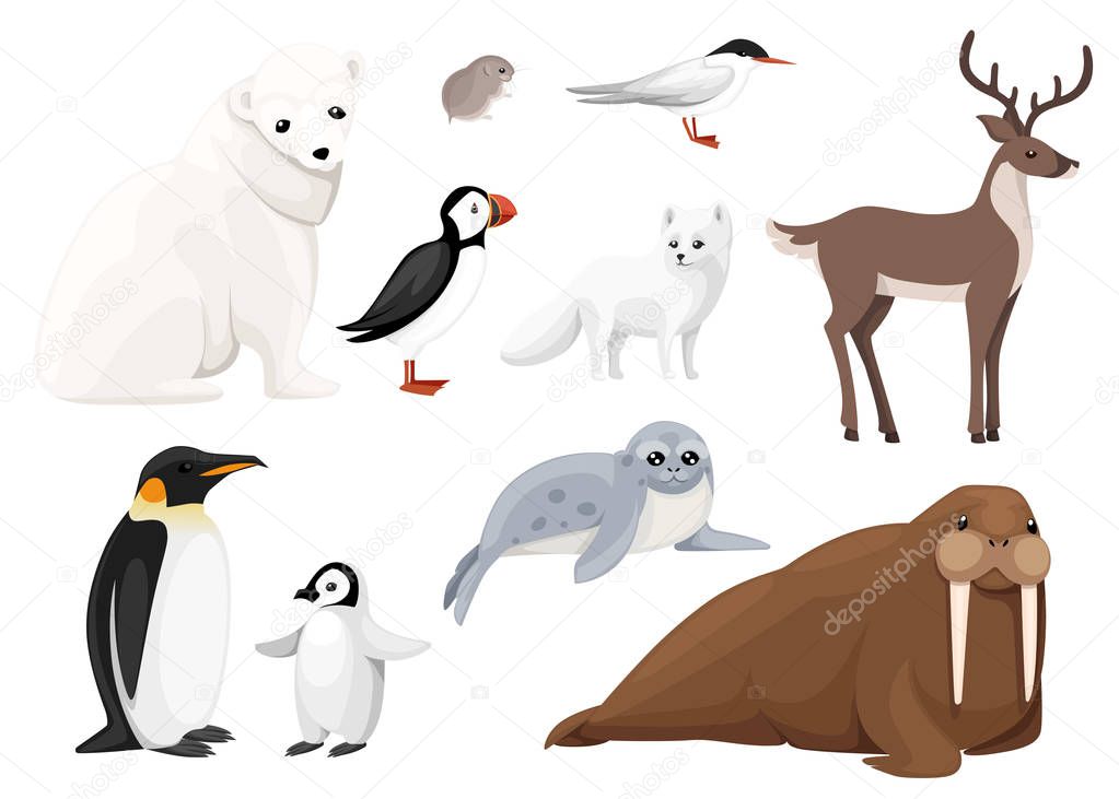Set of arctic animals icon. Birds and mammals. Arctic animal, cartoon flat design. Vector illustration isolated on white background.