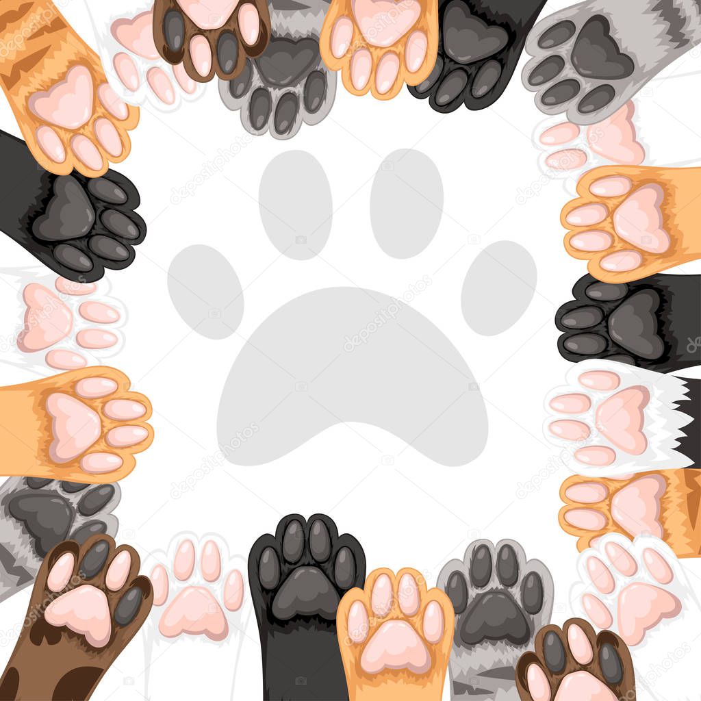Pattern of different color cat paws icon collection. Cute cat foot set. Concept for greetings card design. Flat vector illustration on white background.