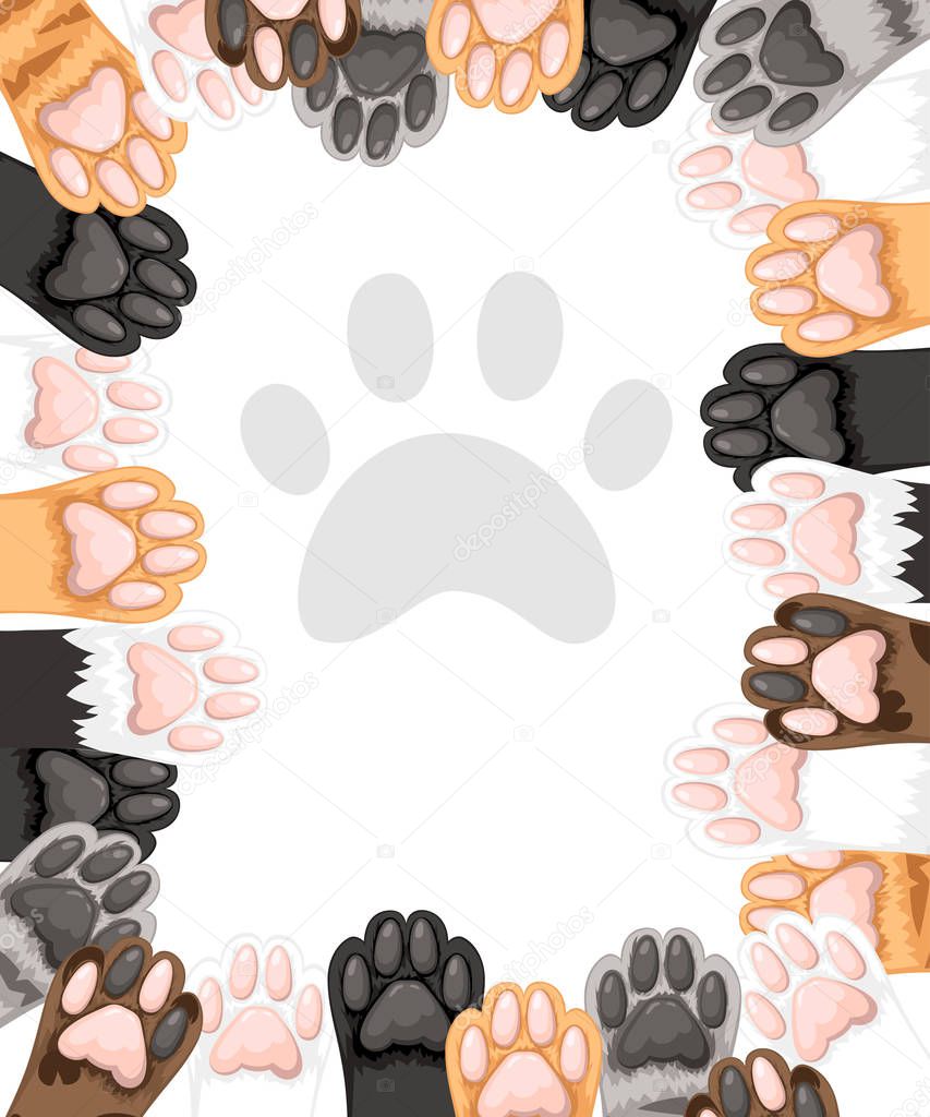 Pattern of different color cat paws icon collection. Cute cat foot set. Concept for greetings card design. Flat vector illustration on white background.