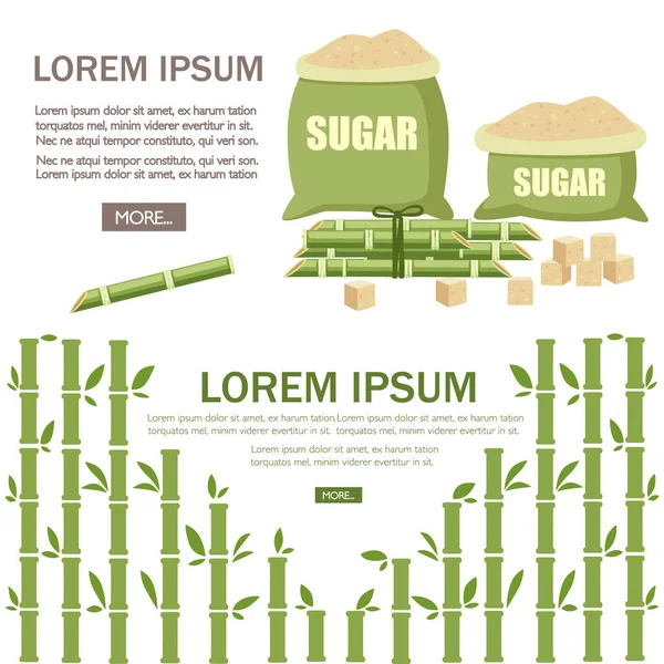 Culturas Agrícolas Plantas Açúcar Cana Açúcar Com Folha Açúcar Sacos — Vetor de Stock
