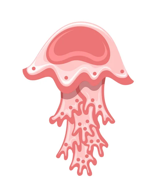 海の赤いクラゲ。熱帯水中動物。メデューサの水生生物、漫画のスタイルのデザイン。白い背景に孤立した平らなベクトルのイラスト — ストックベクタ