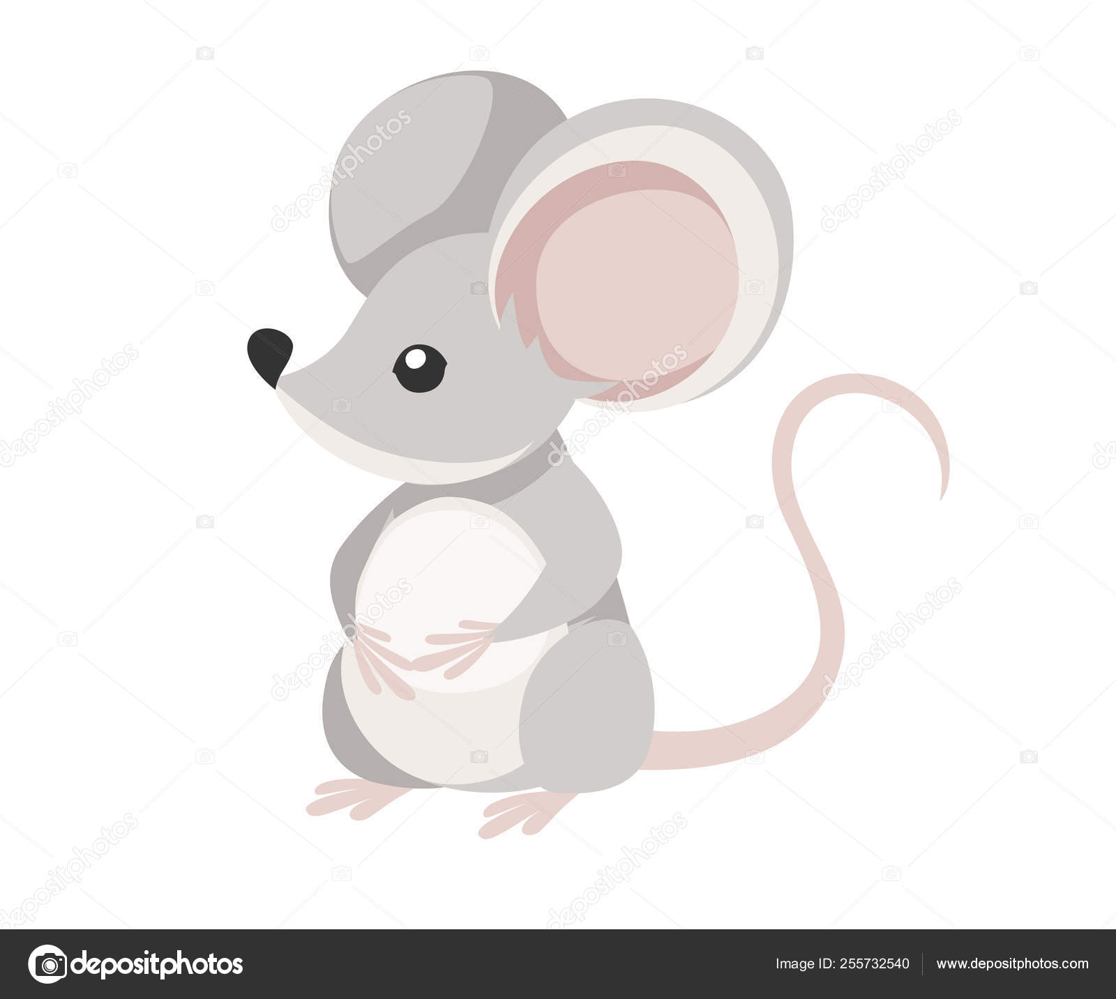Cute little gray mouse sit on floor. Cartoon animal character design. Flat  vector illustration isolated on white background Stock Vector Image by  ©.com #255732540