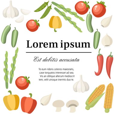 Sebze koleksiyonu simgesi. Biber, sarımsak, Mısır, yeşil bezelye vb. seti. Tarım ve gıda simge tasarımı. Düz vektör Illustration. Tebrik kartı ve reklam broşürü için konsept