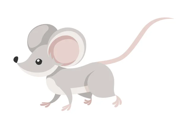かわいいグレーのマウスウォーク。漫画動物キャラクターデザイン。白い背景に孤立した平らなベクトルのイラスト — ストックベクタ