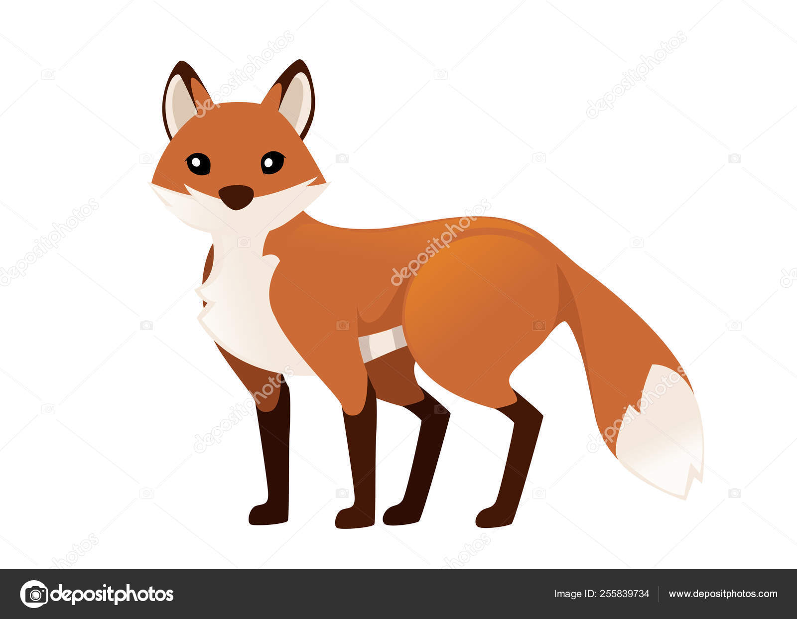 Tendances Pour Dessin Renard Roux The Vegen Princess Tendances Pour Dessin Renard Roux The Vegen Princess