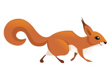 Sevimli küçük sincap yürüyüşü. Yan görünüm. Karikatür hayvan karakter tasarımı. Beyaz arka planda izole düz vektör illüstrasyon