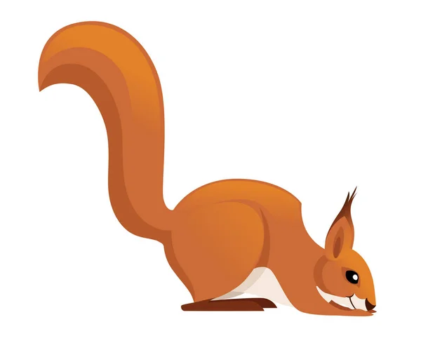 Söpö pikku orava istuu lattialla. Sivunäkymä Sarjakuva eläin hahmo suunnittelu. Tasainen vektori kuva eristetty valkoisella taustalla — vektorikuva
