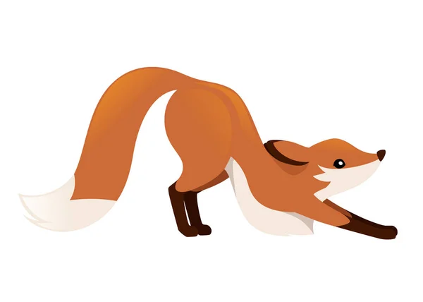 Cute red fox is stretching on four legs. Cartoon animal character design. Forest animal. Flat vector illustration isolated on white background — Stock Vector