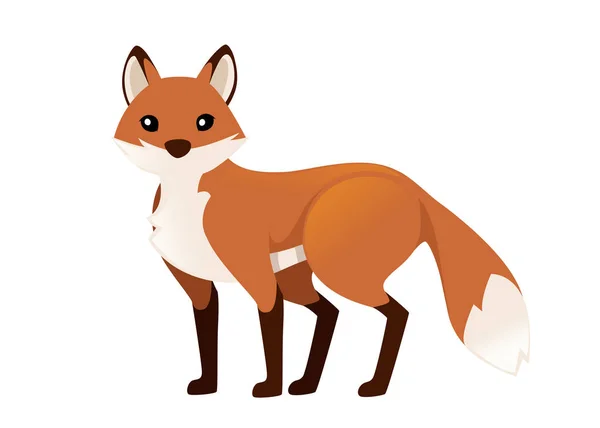 Мила червона лисиця стоїть на чотирьох ногах. Дизайн персонажів мультяшних тварин. Лісова тварина. Плоска векторна ілюстрація ізольована на білому тлі — стоковий вектор