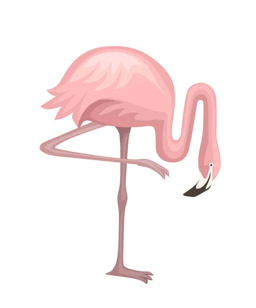 Animal bonito, flamingo rosa pêssego. Desenho de personagem animal de desenhos animados. Ilustração vetorial plana isolada sobre fundo branco. Flamingo em pé sobre uma perna — Vetor de Stock