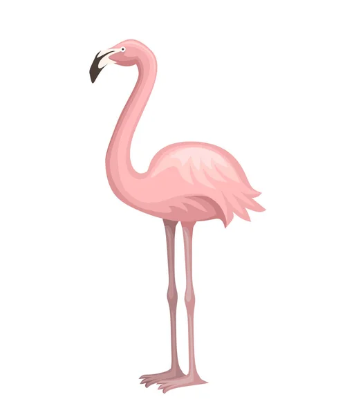 Χαριτωμένο ζώο, ροδάκινο ροζ φλαμίνγκο. Σχεδίαση χαρακτήρων κινουμένων σχεδίων για ζώα. Επίπεδη εικόνα που απομονώνεται σε λευκό φόντο. Φλαμίνγκο στέκεται σε δύο πόδια — Διανυσματικό Αρχείο