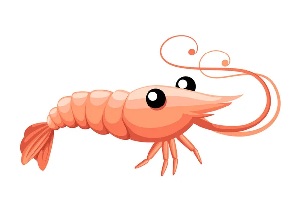 かわいいエビ。漫画動物キャラクターデザイン。甲殻類を泳ぐ。白い背景に孤立した平らなベクトルのイラスト — ストックベクタ