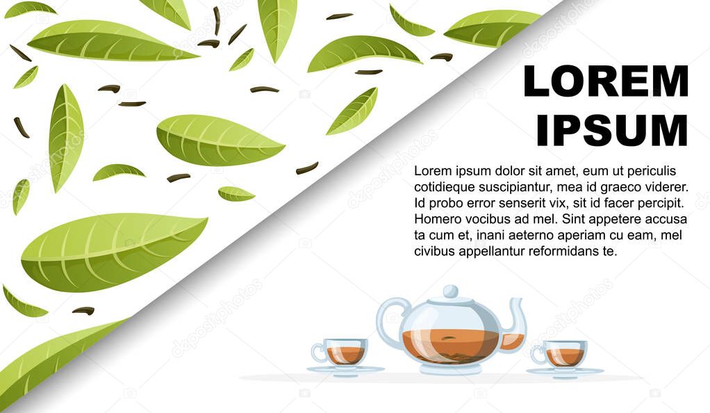 Fresh green tea leaves and pile dry tea. Transparent glass teapot and cups with black tea. Green tea for design, advertising and packaging. Flat vector illustration on white background