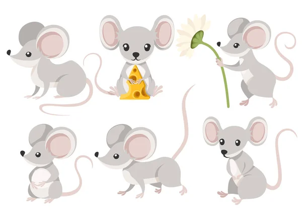 Lindo conjunto de ratón de dibujos animados. Graciosa colección de ratones grises. Emoción animalito. Dibujos animados diseño de personajes animales. Ilustración vectorial plana aislada sobre fondo blanco — Vector de stock