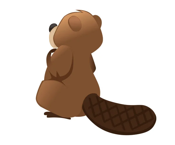 Cute brown beaver sitting. Cartoon character design. North American beaver Castor canadensis. Rodentia mammals. Happy animal. Flat vector illustration isolated on white background. Back view — Stock Vector