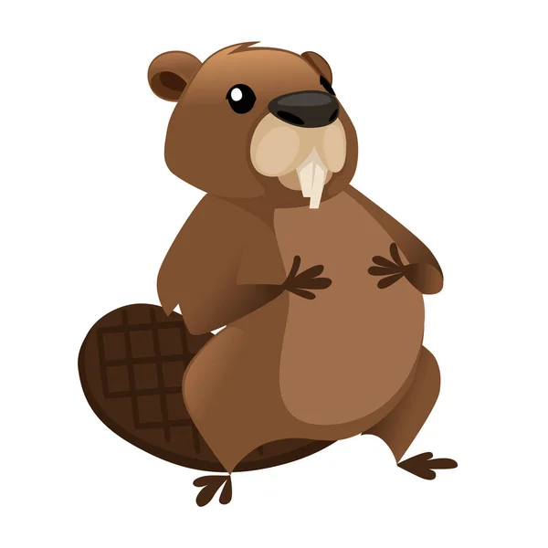 かわいい茶色のビーバーは、胃の上に手で座っています。漫画のキャラクターデザイン。北米ビーバーカスタカデンシス。げっ歯類哺乳類。白い背景に分離されたフラットベクトルイラストレーション — ストックベクタ