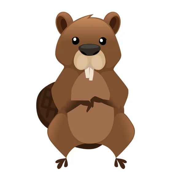 Cute brown beaver sitting. Cartoon character design. North American beaver Castor canadensis. Rodentia mammals. Happy animal. Flat vector illustration isolated on white background. Front view — Stock Vector