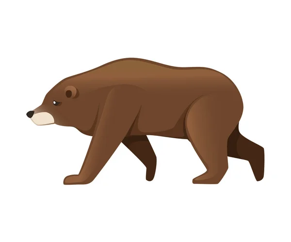 Grizzly bear. North America animal, brown bear. Cartoon animal design. Flat vector illustration isolated on white background. Bear walking, side view — Stock Vector