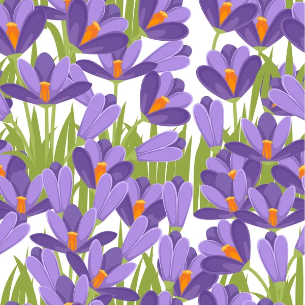 Безшовний візерунок. Фіолетові крокуси. Крокус весняний, гігантський Крокус. Фіолетовий рання Весняна квітка. Плоска Векторна ілюстрація на білому фоні — стоковий вектор