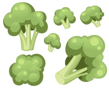 Brokoli lahana simge seti. Sebze brokoli Düz simge koleksiyonu. Taze yeşil Sebze, Vejetaryen, vegan Sağlıklı organik gıda. Farklı boyutlarda brokoli. Düz vektör çizimi