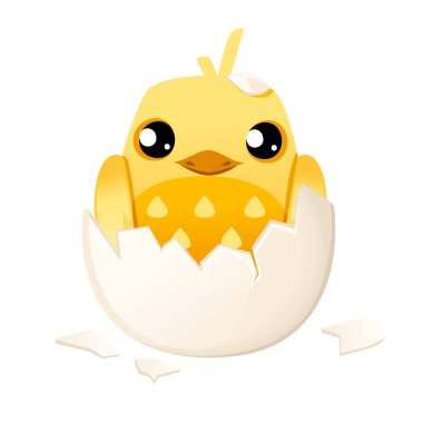 Sevimli küçük karikatür civciv yumurta dan yumurta dan yumurtadan yumurta dan kırık yumurta karikatür karakter tasarımı düz vektör illüstrasyon