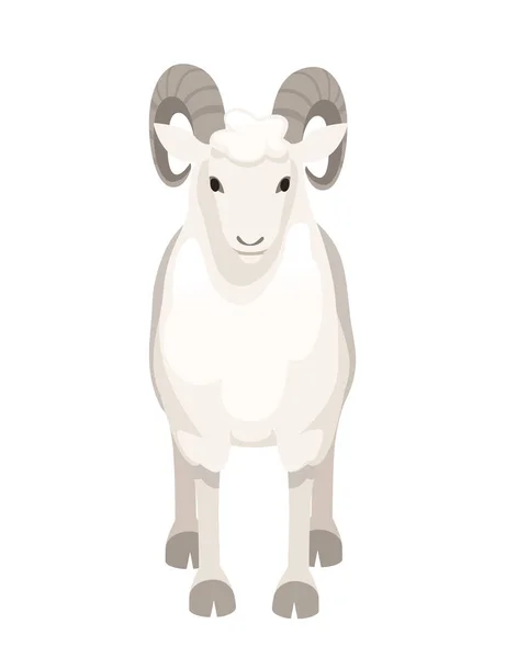 White horned mountain ram sheep cartoon character design flat vector animal illustration isolated on white background — Stock Vector