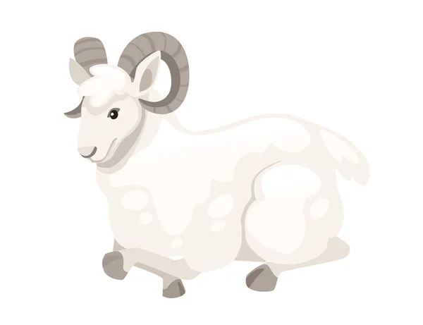Blanco carnero de montaña cuernos ovejas sentarse en el diseño de personajes de dibujos animados piso vector plano animal ilustración aislado sobre fondo blanco — Vector de stock