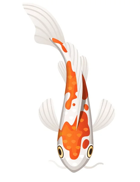 Vector illustration isolated on background Goldfish aquarium fish