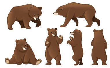 Grizzly ayıları seti. Kuzey Amerika hayvanı, kahverengi ayı. Karikatür hayvan tasarımı. Beyaz arka planda yalıtılmış düz vektör çizimi