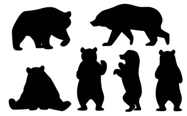 Grizzly ayılarının siyah siluet seti. Kuzey Amerika hayvanı, kahverengi ayı. Karikatür hayvan tasarımı. Beyaz arka planda yalıtılmış düz vektör çizimi
