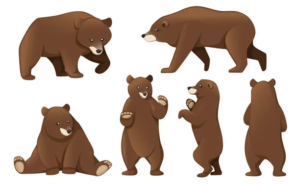 Set of Grizzly bears. North America animal, brown bear. Cartoon animal design. Flat vector illustration isolated on white background — Stock Vector