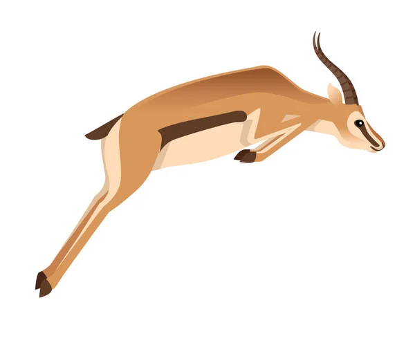 Africko-divoká Gazela s dlouhými rohy kreslená zvířecí design plochá vektorová ilustrace na bílém pozadí zobrazení antilopy skok — Stockový vektor